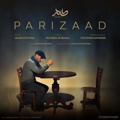 دانلود آهنگ طاهر پریزاد با کیفیت 320